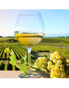 Vins Blancs