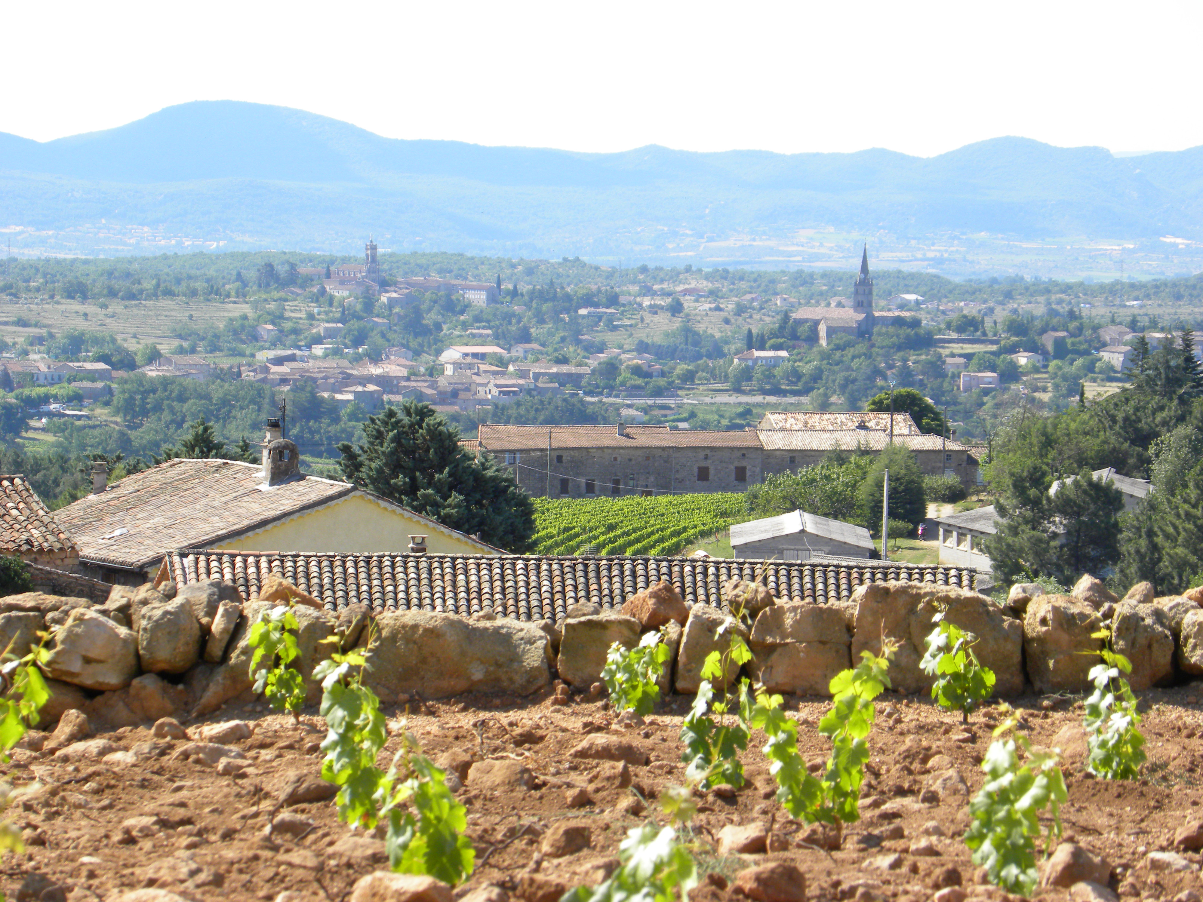 Premier sentier des vignerions