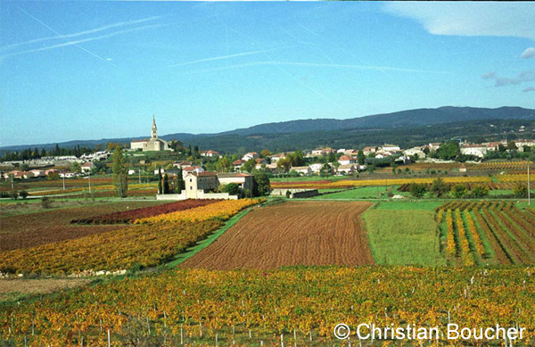 Premier sentier des vignerions