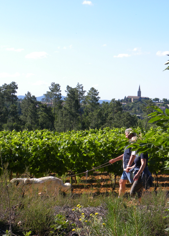  Le Sentier Vigneron de la Cave de Lablachère.